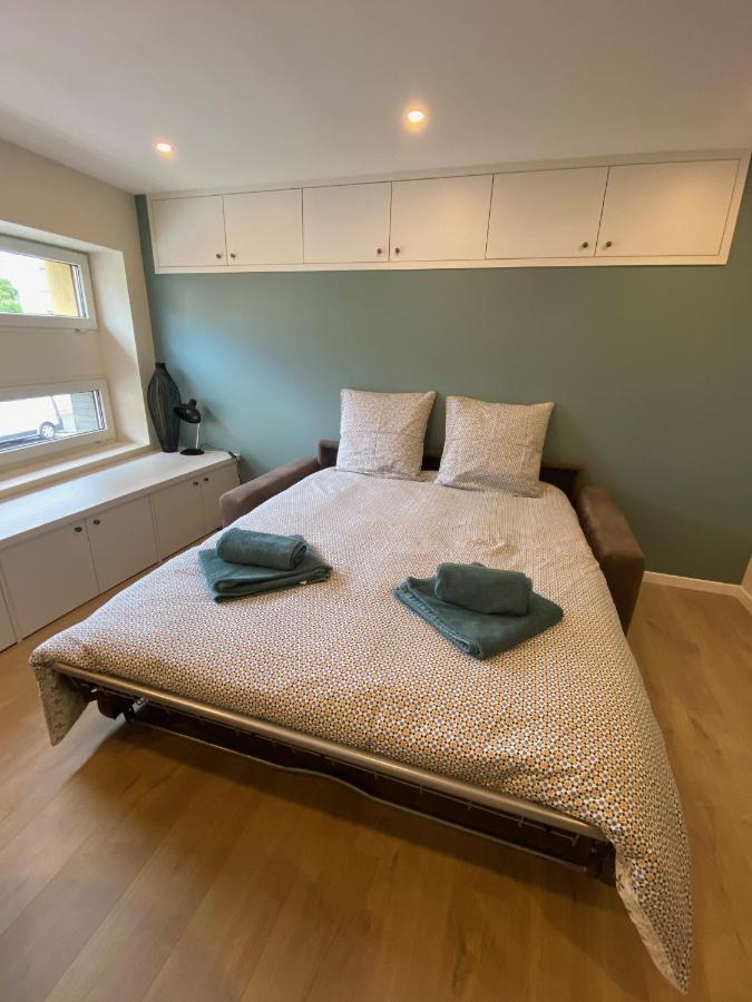 Le Cocon Strasbourgeois Apartment Luaran gambar